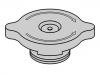 散热器盖 Radiator Cap:1 613 291